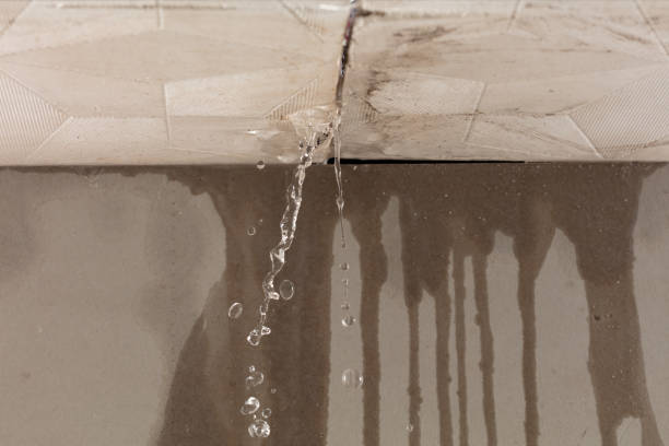 Professional Structural Drying technician working in Farwell, MI